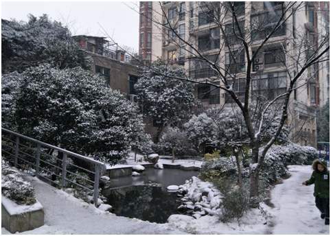 銀裝素裹 不負(fù)期盼